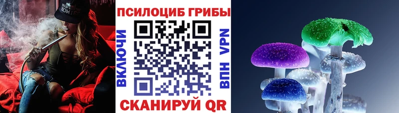 ссылка на мегу как зайти  Новоалександровск  Псилоцибиновые грибы Psilocybe 